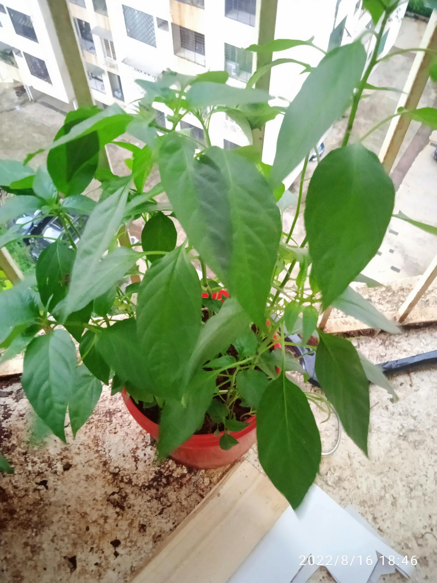 Close-up of tire tread pattern and grooves